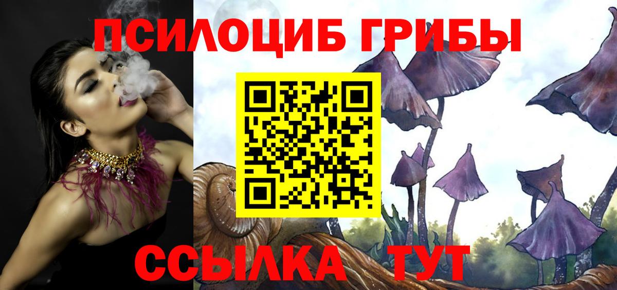 Псилоцибиновые грибы мухоморы Оренбург