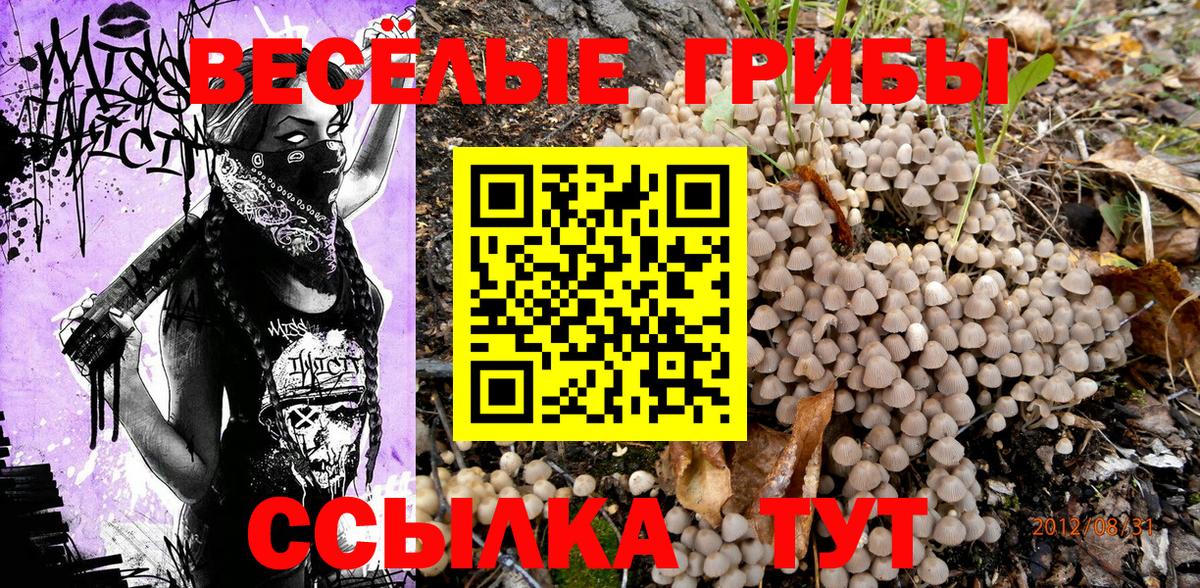 Галлюциногенные грибы Psilocybe  Вход с VPN  купить наркотик  Оренбург 
